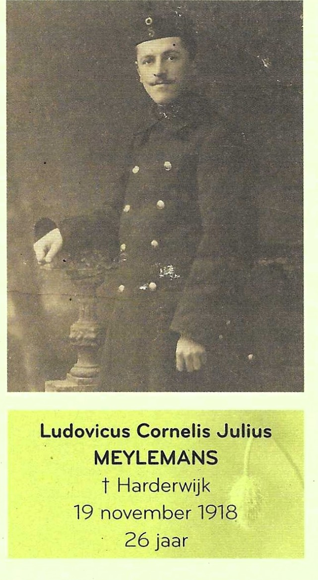 Meylemans Louis Corneel Juul