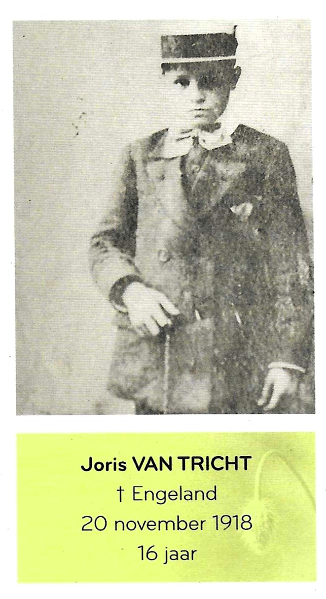 Van Tricht Joris